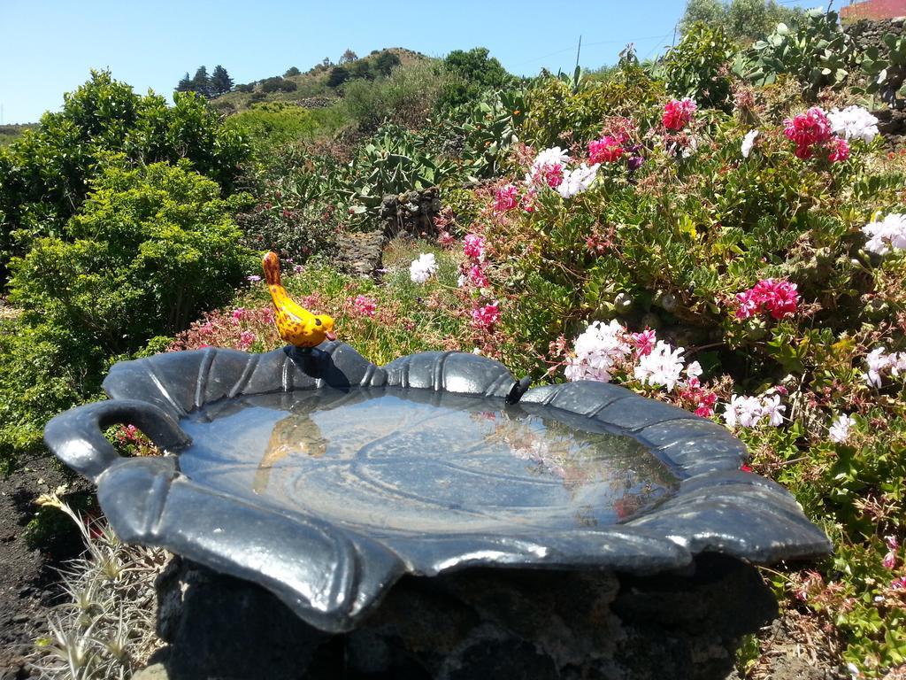 Casa Rural El Valle San Andres  Luaran gambar